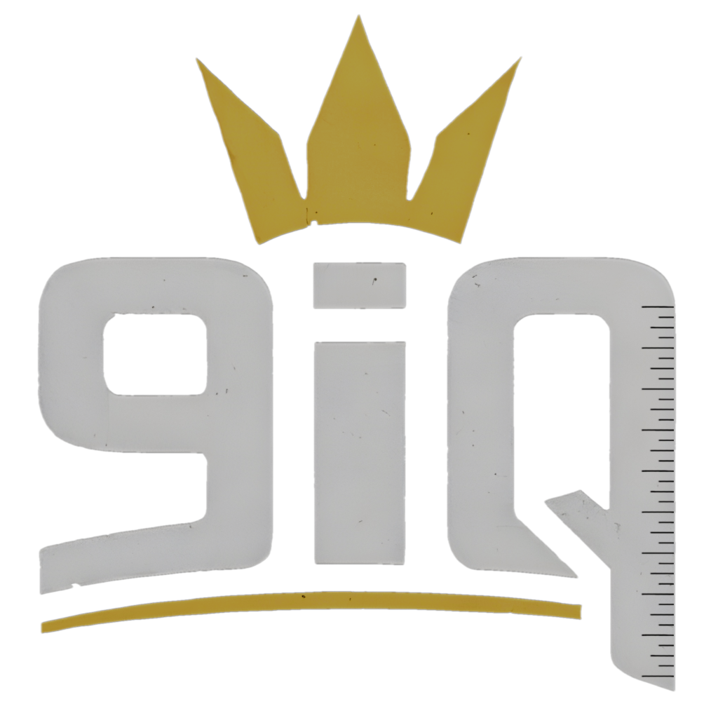 9IQ logo